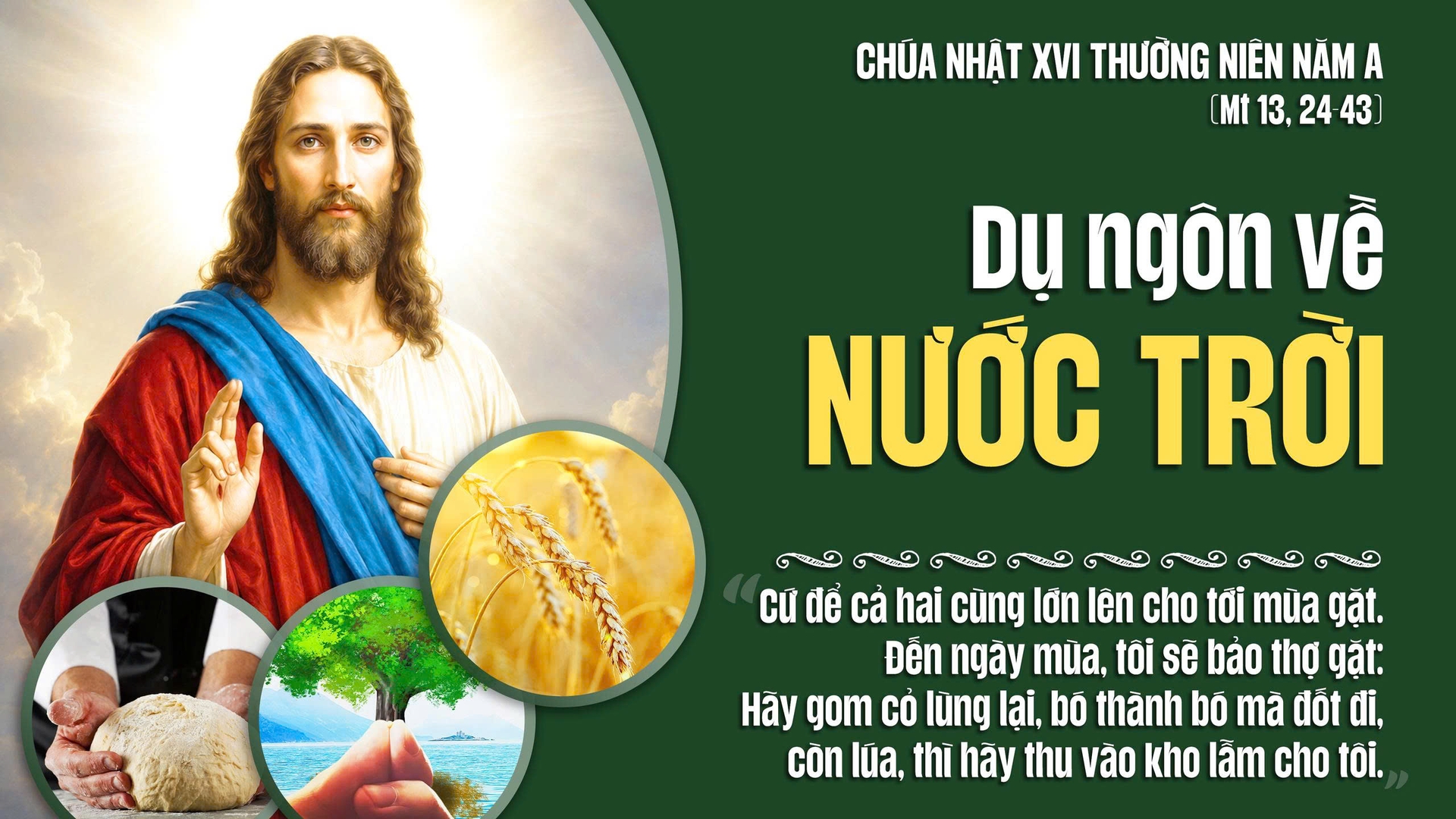 Suy Niệm Lời Chúa | Chúa Nhật Tuần XVI Mùa Thường niên - Năm A | Mt 13,24-43 | Phút Cầu Nguyện
